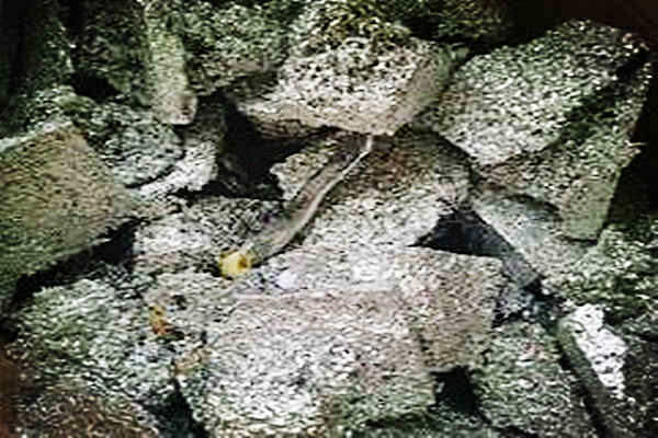 2025年锡渣回收价格暴涨背后：全球供应链重构下的金属博弈