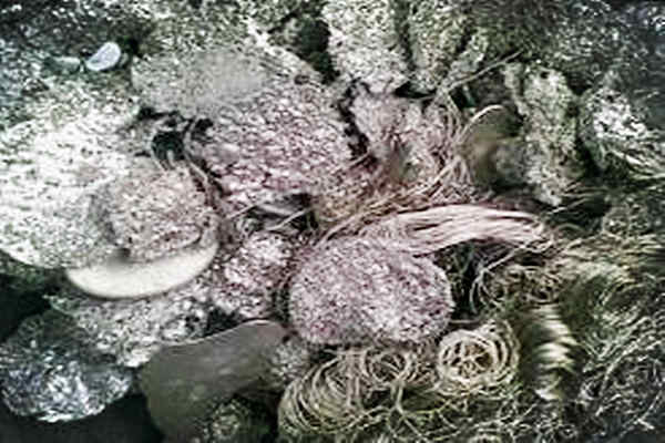 2025年锡灰回收价格暴涨！企业如何抓住循环经济新风口？